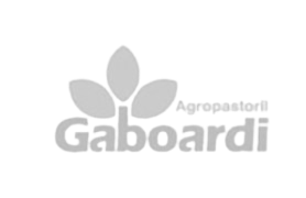 gaboardi-removebg-preview